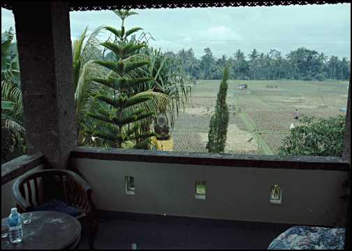 Balkon og udsigt Mimpi Manis.jpg (22745 bytes)