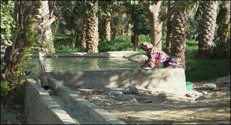Dame vasker toej i Mohammeds plantage.jpg (31012 bytes)